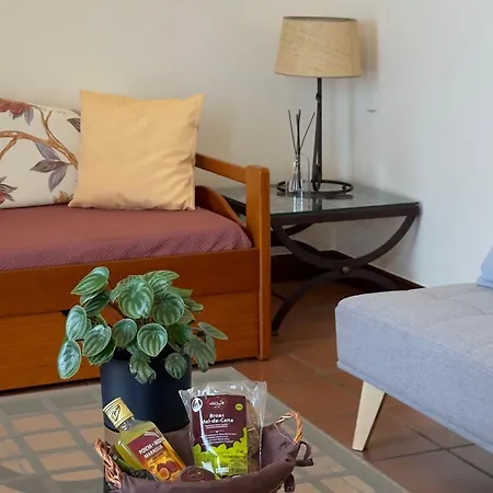 Rocha Do Sol 59a - Ensuite With Balcony View Pensionat 3*